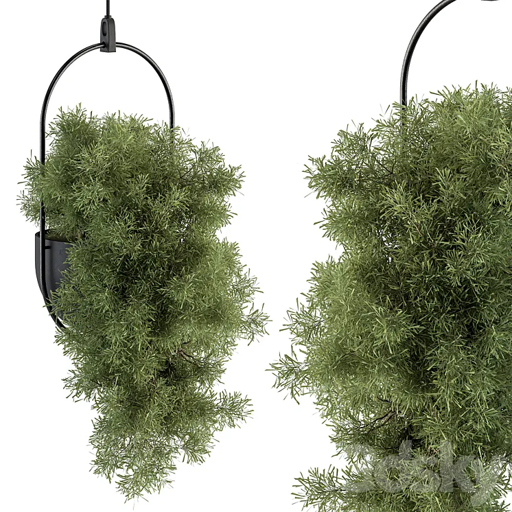 indoor Plant Set 396 – Hanging Plants 3DS Max Model