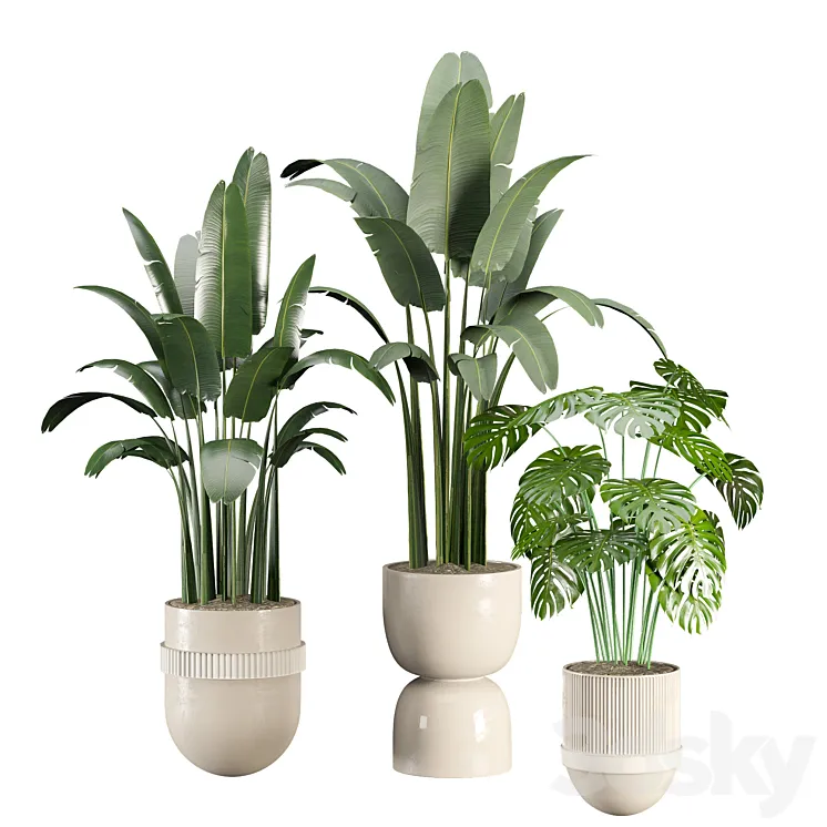 indoor-plant-set 3DS Max Model