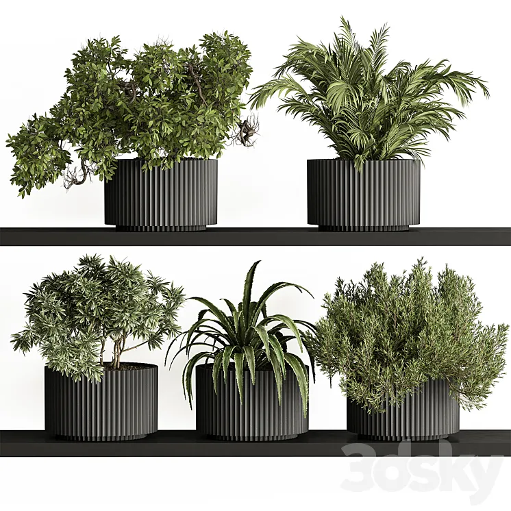 indoor Plant Set 402 – Small Plant pot 3DS Max