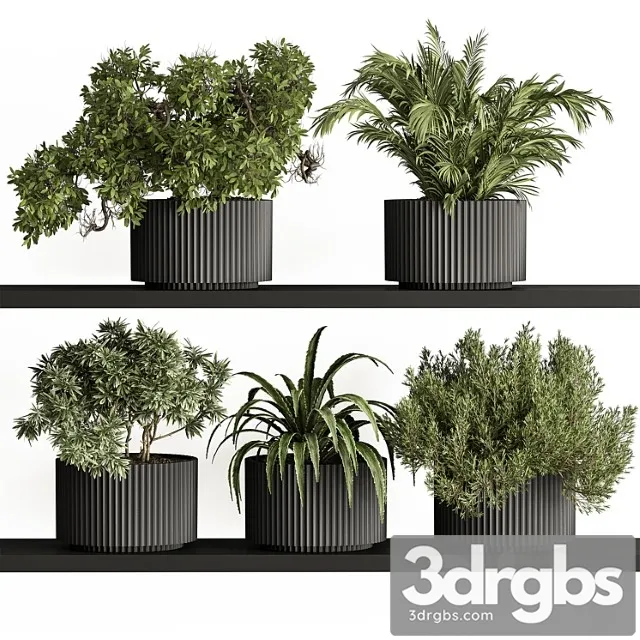 Indoor plant set 402 – small plant pot