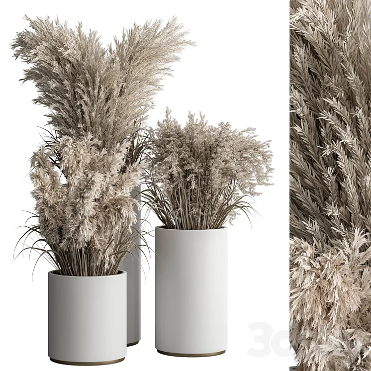 indoor Plant Set 406 – Dried Plant Set in Pot 3DS Max
