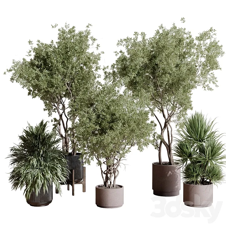 indoor plant set 408 plant tree palm bush concrete dirt vase vray 3DS Max Model