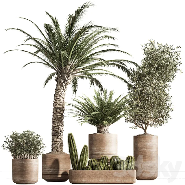 indoor plant set 41 3DS Max Model