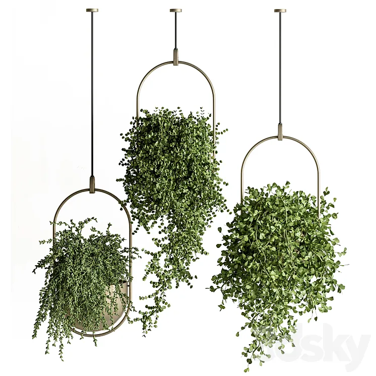 indoor Plant Set 410 – Hanging Plants 3DS Max