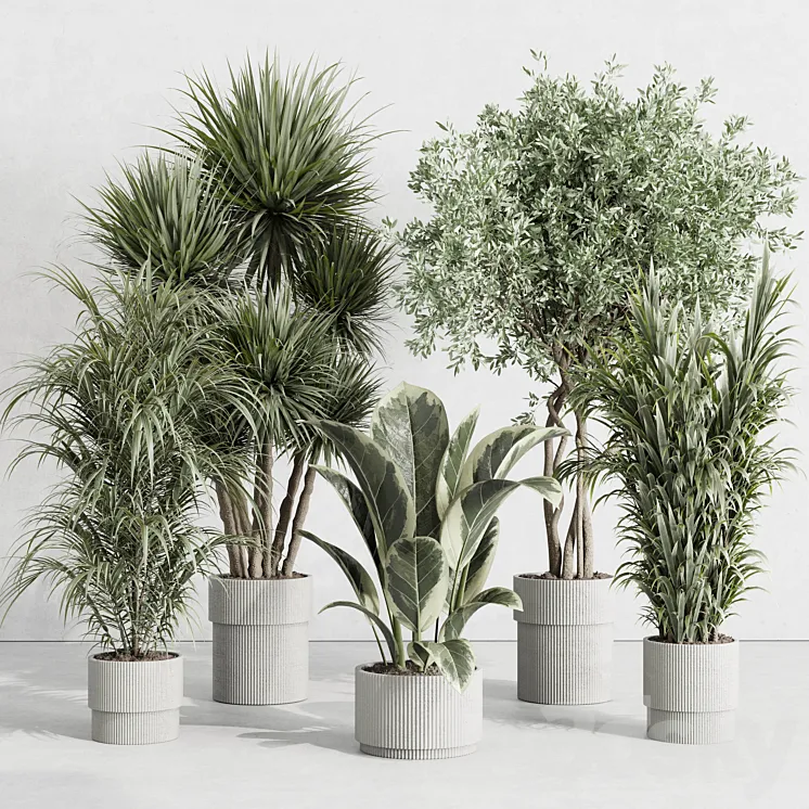 indoor plant set 414 plant ficus elastica tree palm bush concrete vase 3DS Max Model