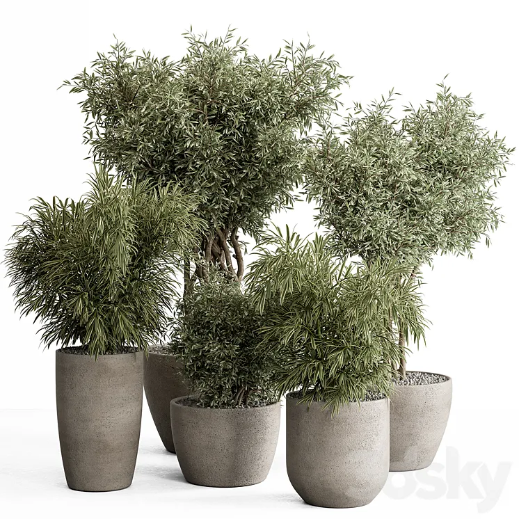 indoor Plant Set 417 – Tree and Bush 3DS Max