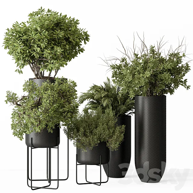 indoor Plant Set 427 – Tree and Bush 3ds Max