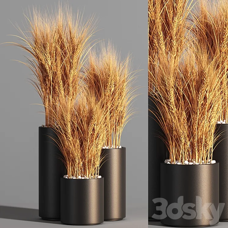 Indoor Plant Set 47 Wheat 3DS Max
