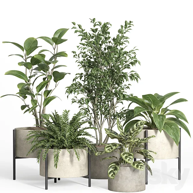 indoor plant set 52-concrete and metal pot 3ds Max