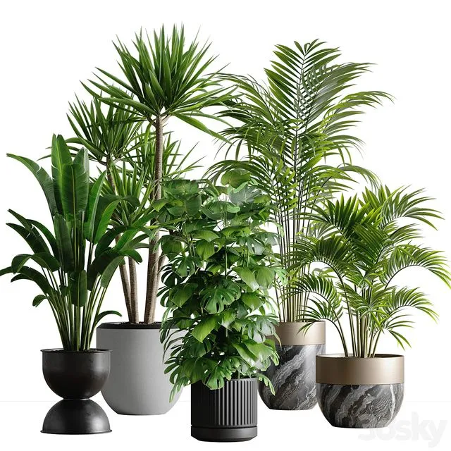 indoor plant set 53 3dsMax Model