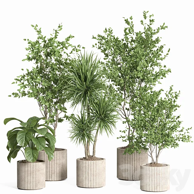 indoor plant set 59-Concrete pot 3ds Max