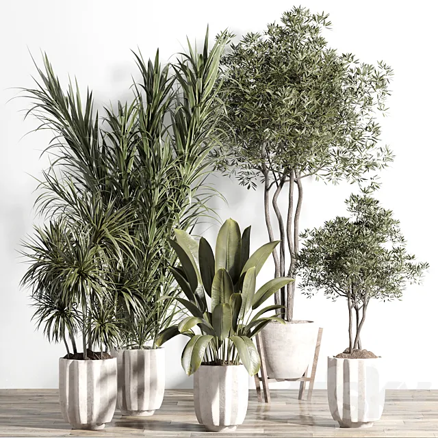 indoor plant – set 60 3DS Max Model