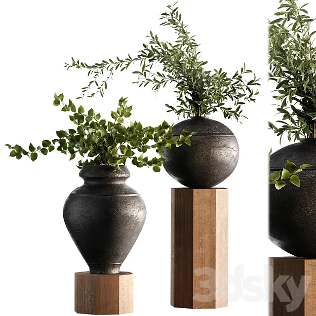 Indoor Plant Set 65 3DS Max Model