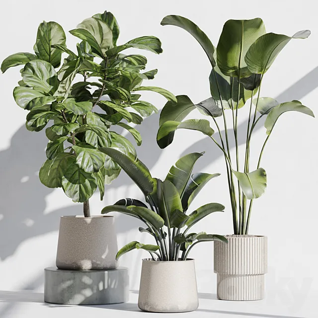 indoor plant set 67 3DS Max Model