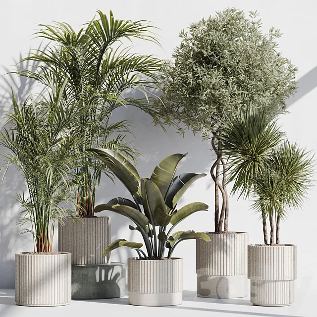 indoor plant set 69 3ds Max