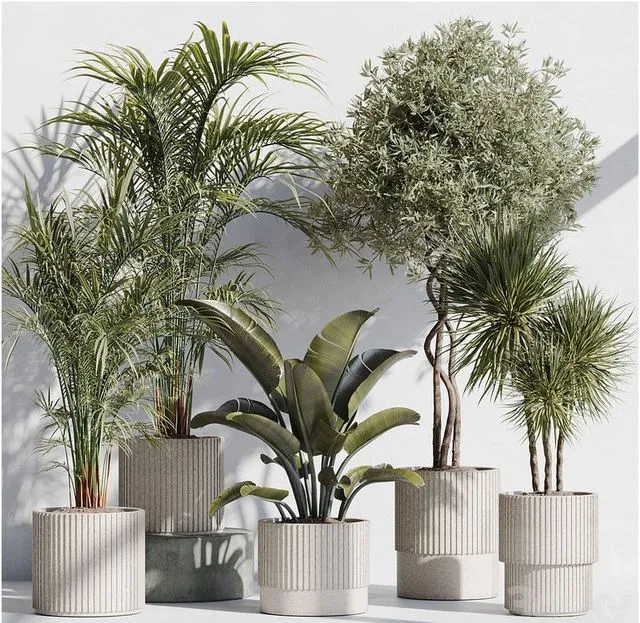 Indoor plant set 69 in modern pot 3dsMax Model