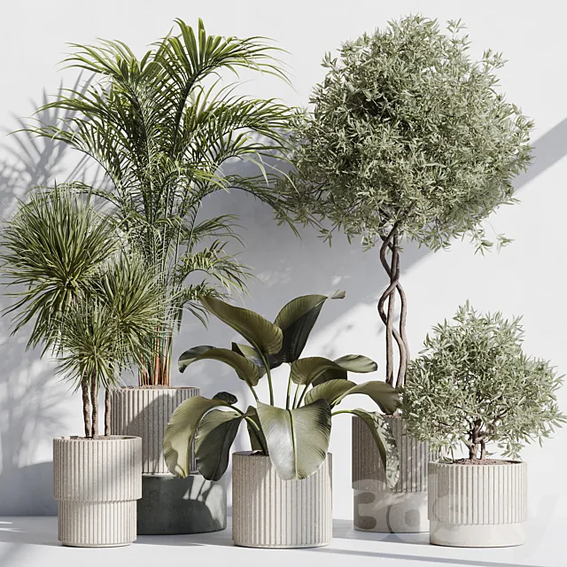 indoor plant set 71 3DS Max Model