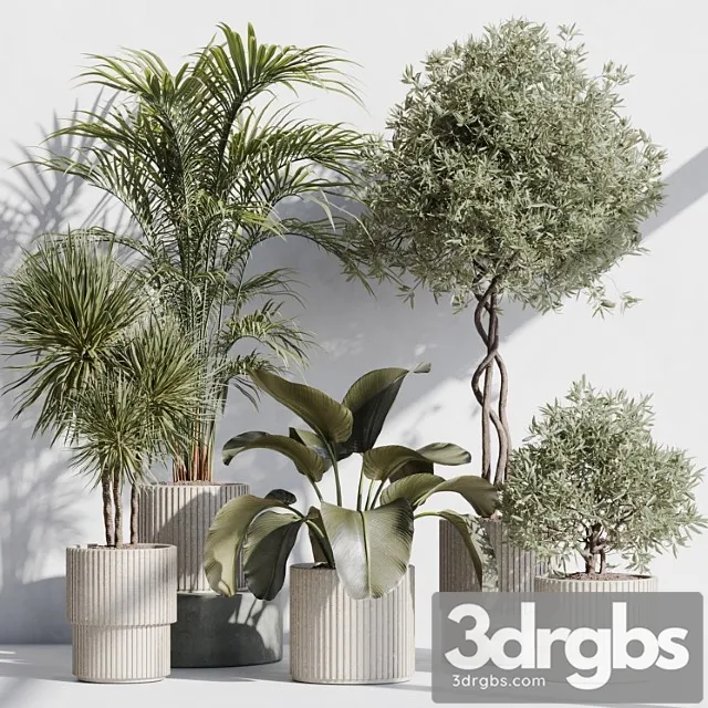 Indoor plant set 71