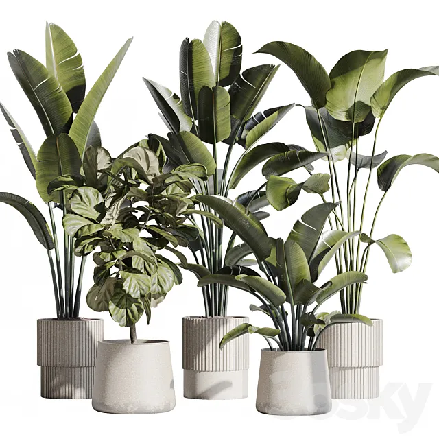 indoor plant set 75 3DS Max Model