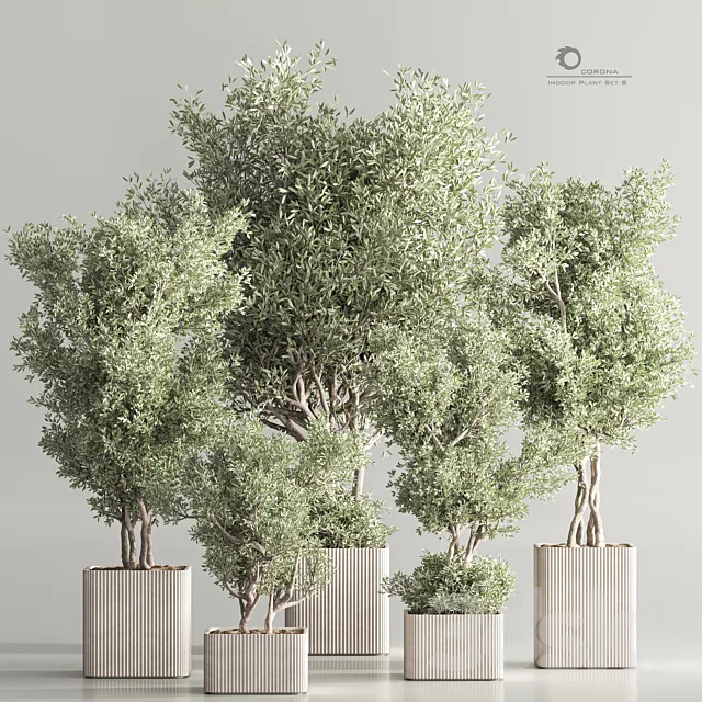 Indoor Plant Set 82 3DS Max Model