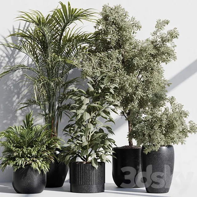 indoor plant set 85 3ds Max