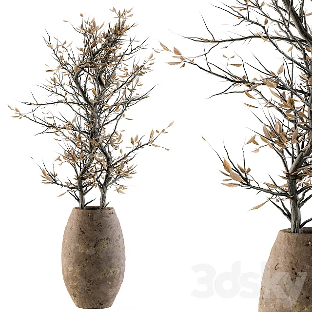 indoor Plant Set 85 – Dried Plant 3DSMax File