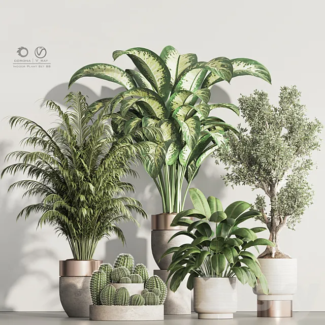 Indoor Plant Set 88 3ds Max