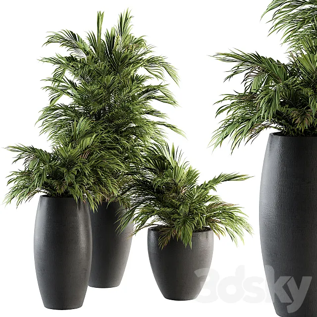 Indoor Plant Set 88 – Tropical 3DS Max Model