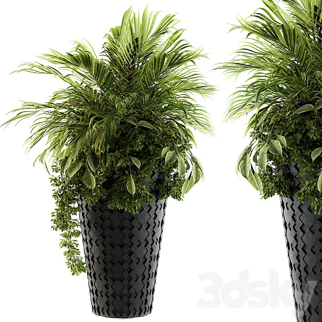 indoor Plant Set 89 – Palm Bush 3ds Max