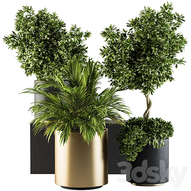 indoor Plant Set 90 – Black and Gold 3ds Max