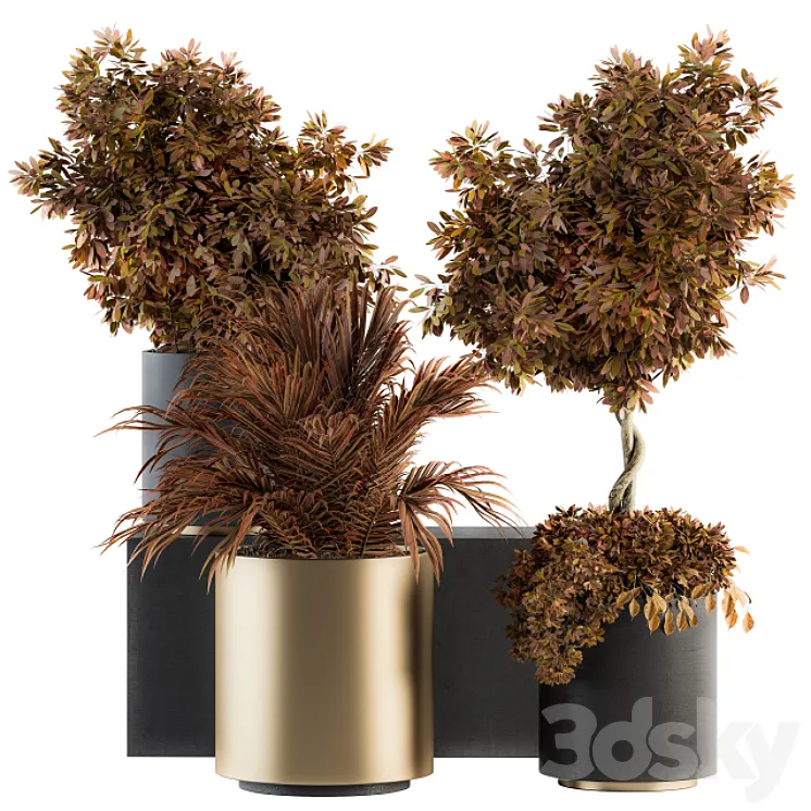 indoor Plant Set 91 – Black and Gold (Red Plant) 3DS Max