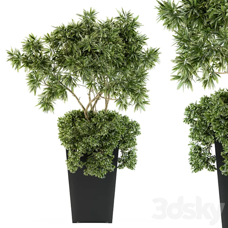 indoor Plant Set 96 – olive 3DS Max