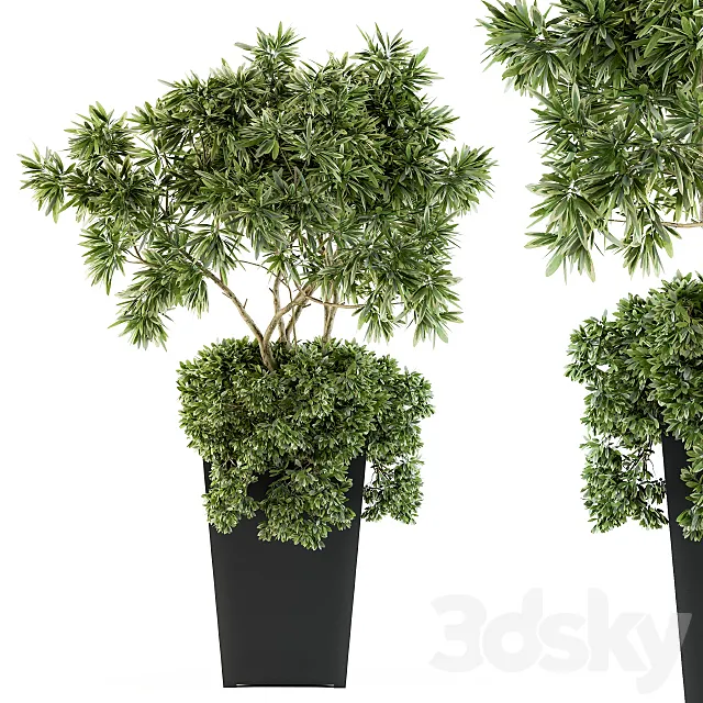 indoor Plant Set 96 – olive 3DSMax File