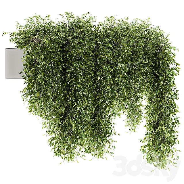 indoor Plant Set 98 – Hanging Plants 3DS Max Model