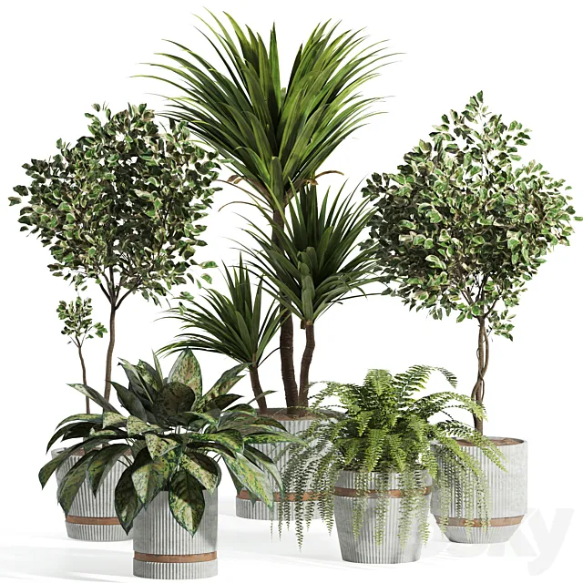 indoor plant set by cement pot 002 3dsMax Model