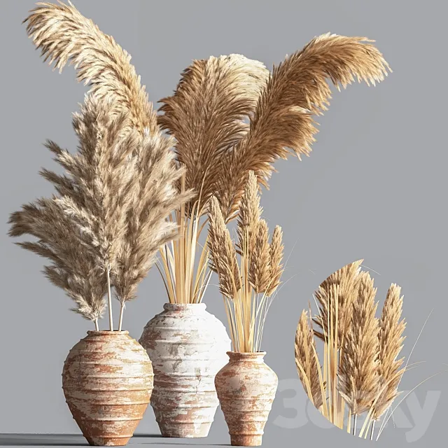 Indoor Plant Set10 3ds Max