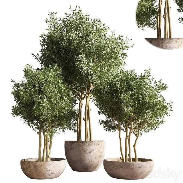 indoor plant stand 19 3dsMax Model