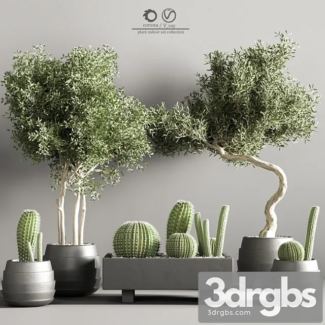 Indoor plant stand 37