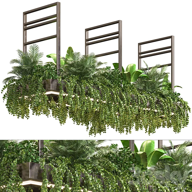 Indoor Plant Vol2 – hanging pot Vol2 3DS Max