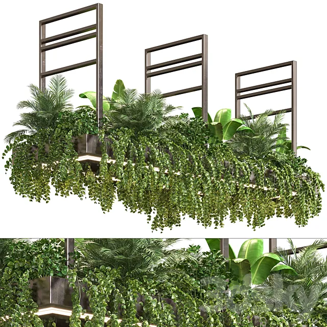 Indoor Plant Vol2 – hanging pot Vol2 3DSMax File