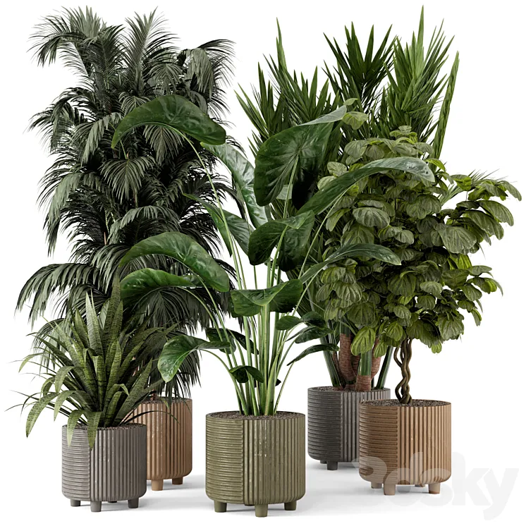 Indoor Planters in Cecilia Ficonstone Pot – Set 349 3DS Max Model