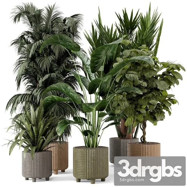 Indoor planters in cecilia ficonstone pot – set 349