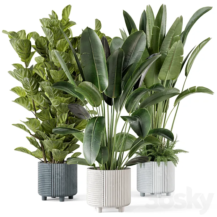 Indoor Planters in Cecilia Ficonstone Pot – Set 409 3DS Max Model