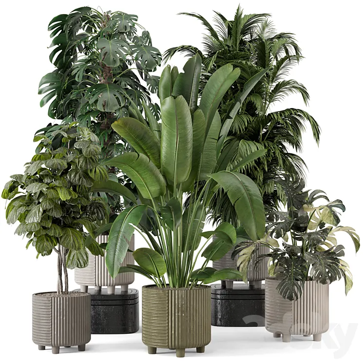 Indoor Planters in Cecilia Ficonstone Pot – Set 969 3DS Max