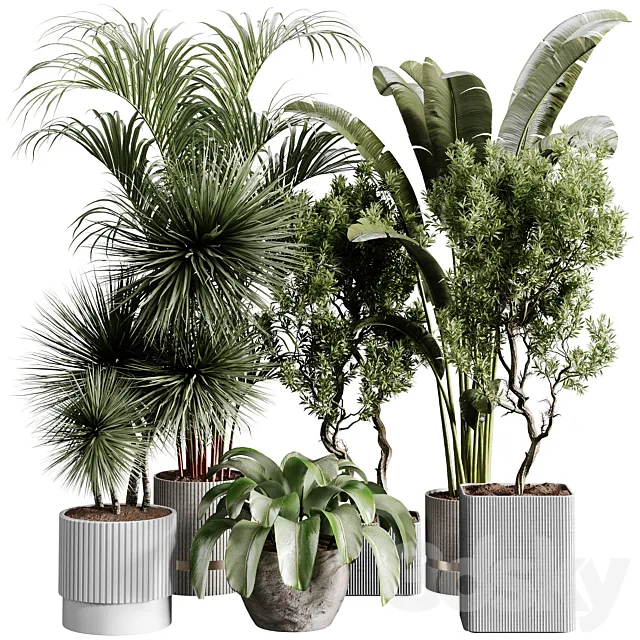 indoor plants 109 – plant collections in pot 3dsMax Model