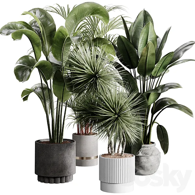 indoor plants 114 – plant collections in pot 3dsMax Model