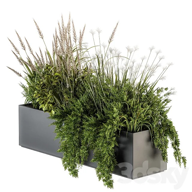 Indoor Plants Box – Set 152 3ds Max