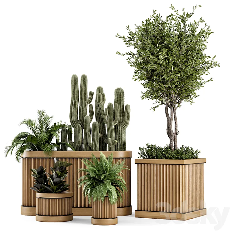 Indoor Plants Bush and Tree in Wooden Pot – Set 401 3DS Max Model