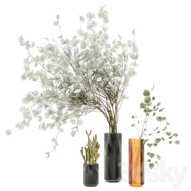 Indoor Plants Cactus & Eucalyptus whit Glass Pots – Set 38 3DSMax File