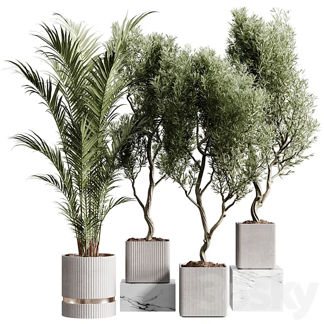 Indoor plants collection set 01 3ds Max